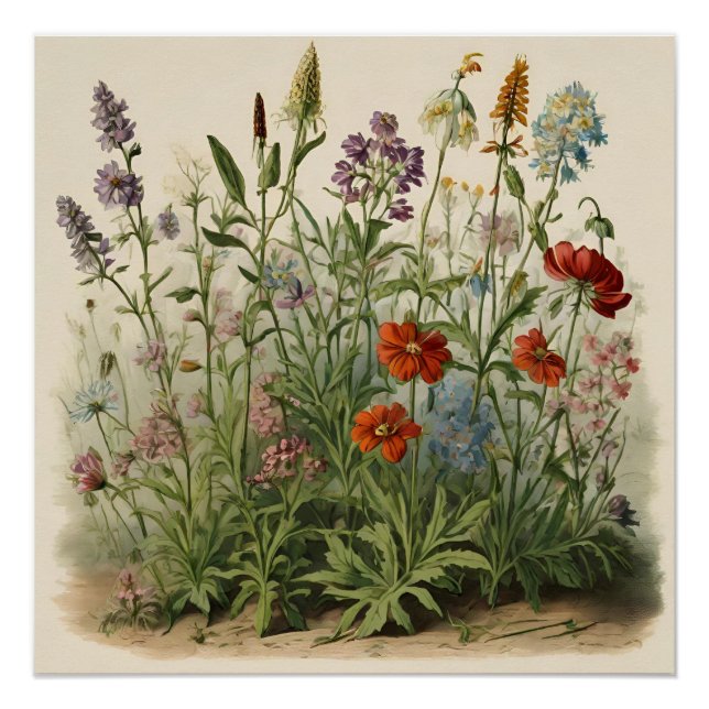 Póster Ilustracion Wildflowers (Anverso)