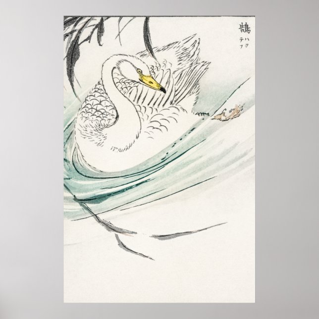 Póster Ilustracion Wooper Swan. (Frente)