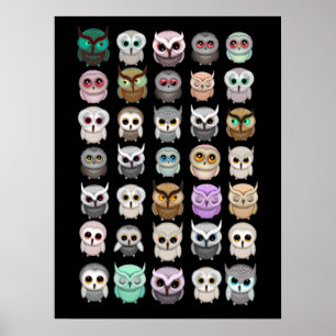 Póster Ilustraciones de adorables búhos pequeños