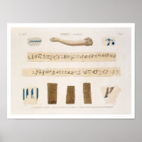 Ilustraciones de jeroglíficos y brazo de una mu