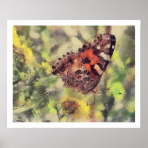 Póster Ilustraciones de la mariposa
