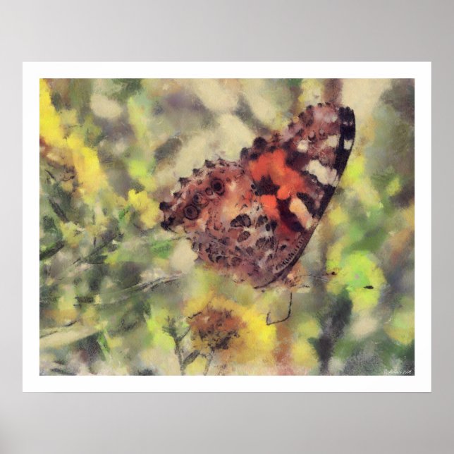 Póster Ilustraciones de la mariposa (Frente)