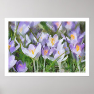 Póster Ilustraciones del azafrán de la primavera