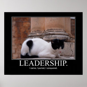 Póster Ilustraciones del gato de la dirección