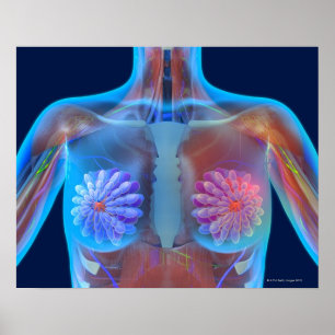 Póster Ilustraciones del ordenador que representan el