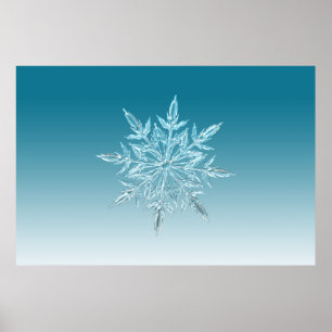 Póster ilustraciones nieve helada crujiente nieve en invi