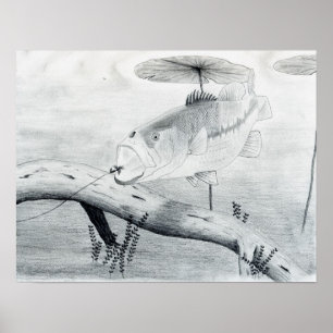 Póster Ilustraciones que ganan de C. Yates, grado 6