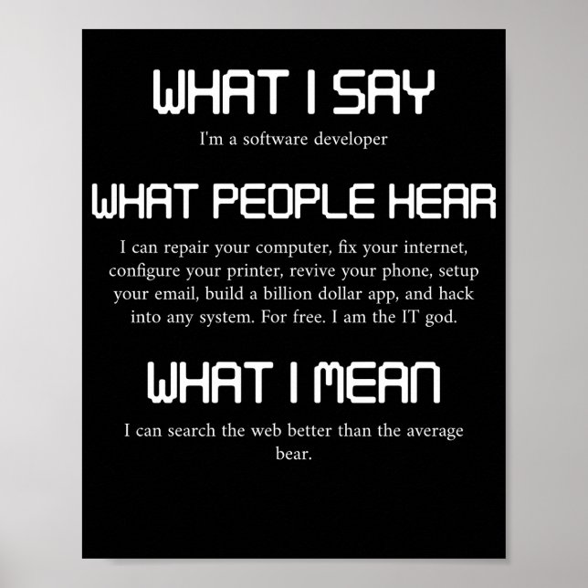 Póster I'm A Software Developer Funny Programming (Frente)