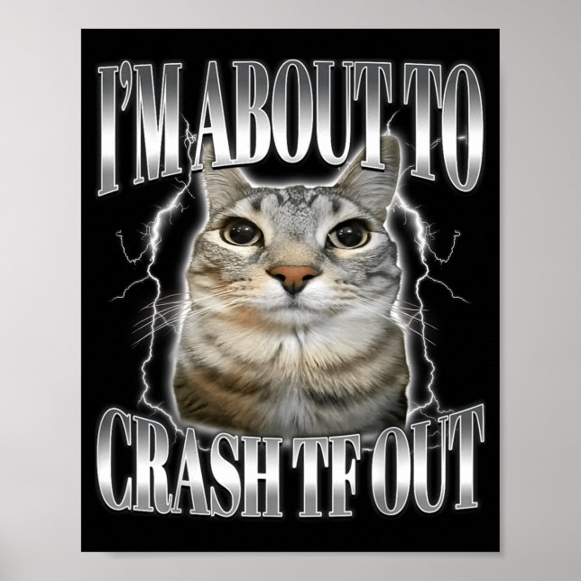 Póster I'm About To Crash Out Funny Staring Cat Brainrot  (Frente)