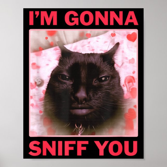 Póster I'm Gonna Sniff You Funny Raunchy Brainrot Meme Ge (Frente)
