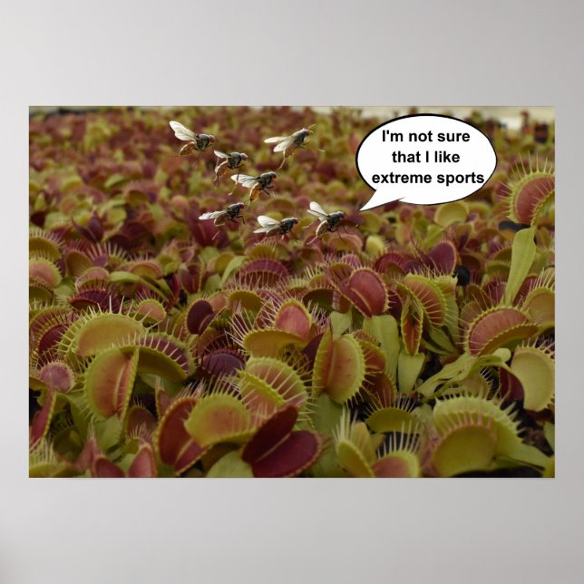 Póster I'm not sure I like extreme sport. (Frente)