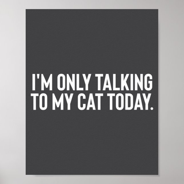 Póster I'm Only Talking To My Cat Today  (Frente)