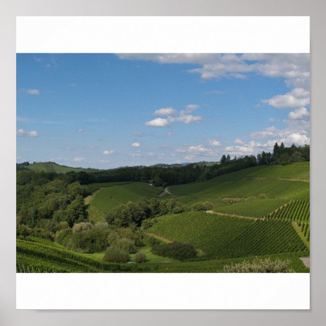 Póster im Schwarzwald (Frente)