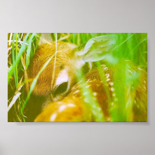 Póster I'm shy