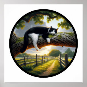 Póster Imagen circular en 3D de un hermoso gato de Tuxedo