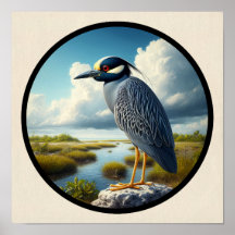 Imagen circular en 3D de una garza nocturna de cor