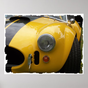 Póster imagen clásica antigua 015 crudos de la