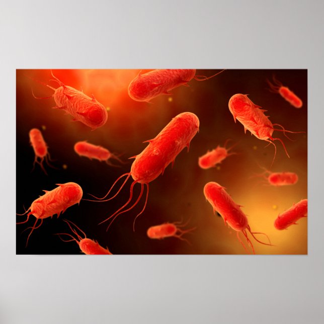 Póster Imagen Conceptual De Flagellate Bacterium 1 (Frente)
