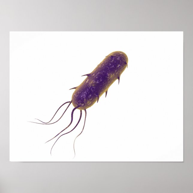 Póster Imagen Conceptual De Flagellate Bacterium 2 (Frente)