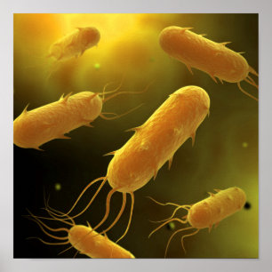 Póster Imagen Conceptual De Flagellate Bacterium 3