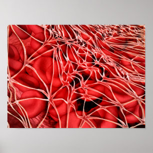 Póster Imagen Conceptual De Glóbulos Rojos Con Fibrina