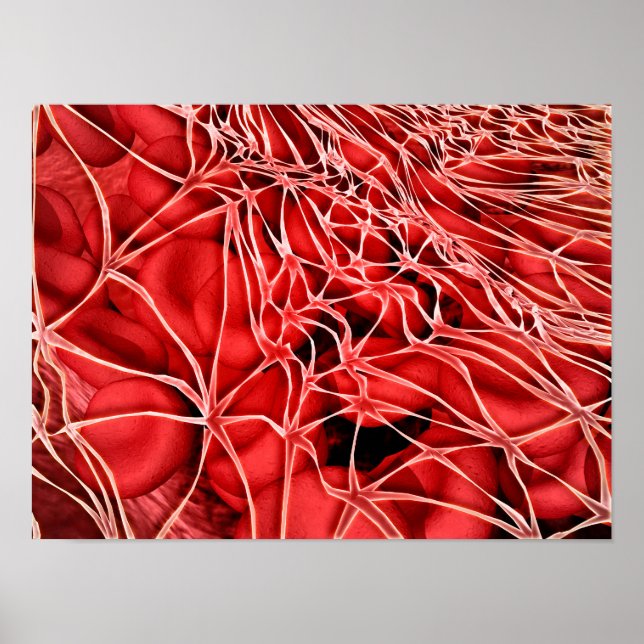 Póster Imagen Conceptual De Glóbulos Rojos Con Fibrina (Frente)