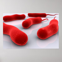 Imagen Conceptual De La Bacteria Cholerae