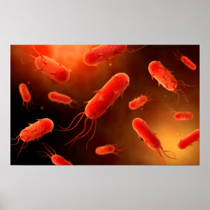 Póster Imagen conceptual de la bacteria flagelada 1