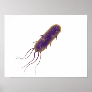 Póster Imagen conceptual de la bacteria flagelada 2