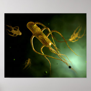 Póster Imagen conceptual de los tifus 2 de las salmonelas