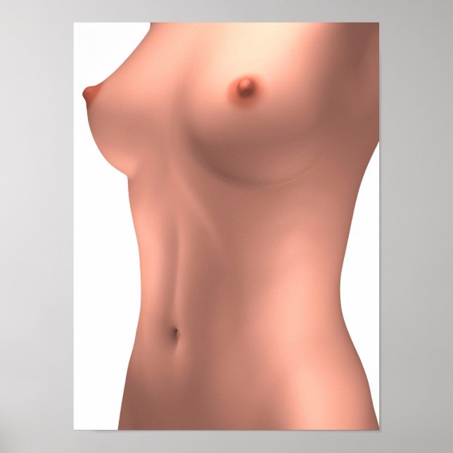 Póster Imagen Conceptual De Torso Femenino (Frente)