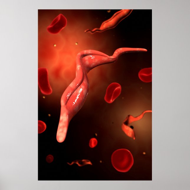 Póster Imagen Conceptual De Trypanosoma 1 (Frente)