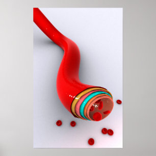 Póster Imagen conceptual de un vaso sanguíneo