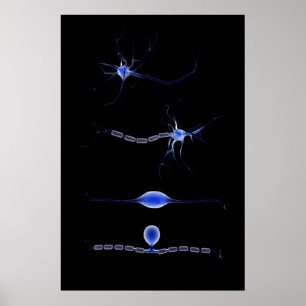 Póster Imagen Conceptual De Una Neurona 1