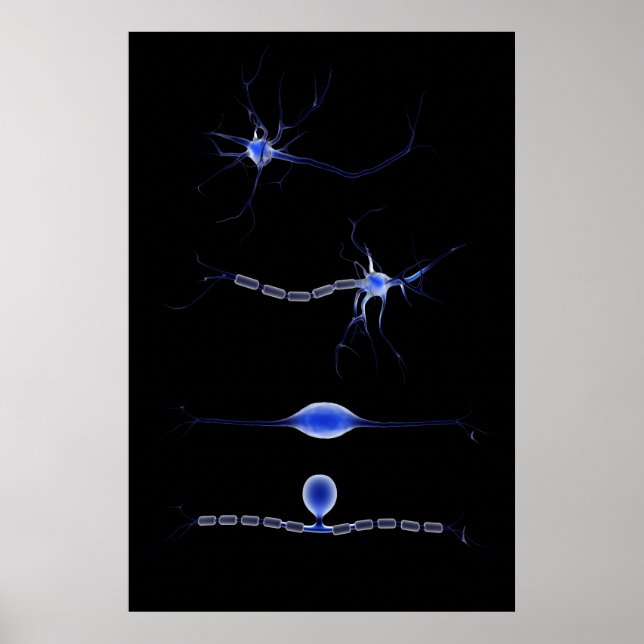 Póster Imagen Conceptual De Una Neurona 1 (Frente)
