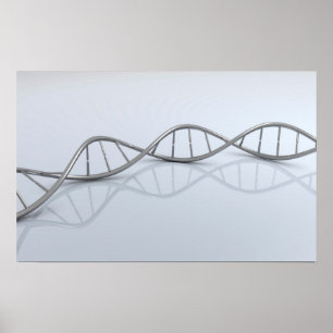 Póster Imagen Conceptual Del ADN 1