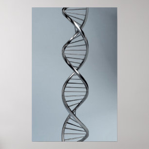 Póster Imagen Conceptual Del ADN 2