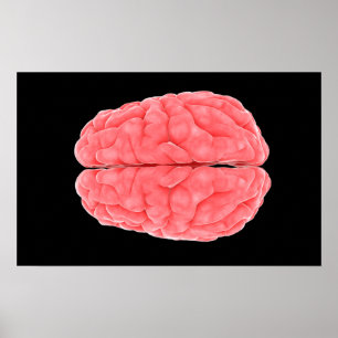 Póster Imagen conceptual del cerebro humano 10