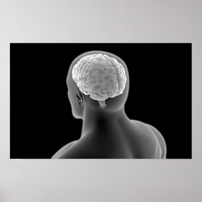 Póster Imagen conceptual del cerebro humano 2 (Frente)