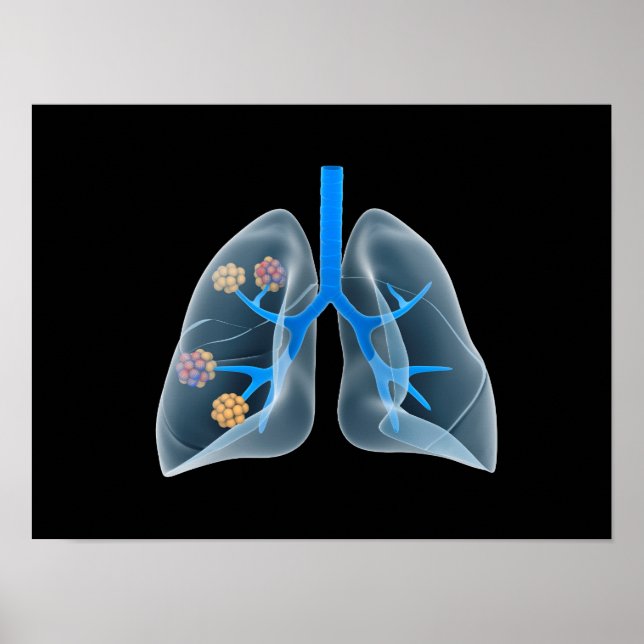 Póster Imagen Conceptual Del Corazón Humano 4 (Frente)