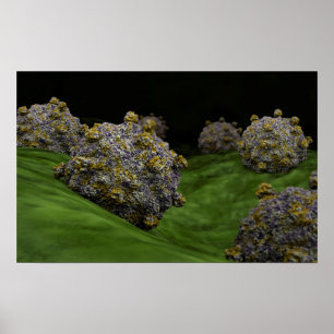 Póster Imagen Conceptual Del Coxsackievirus 1