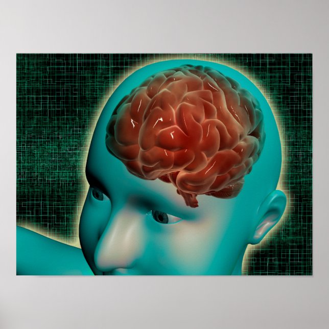 Póster Imagen Conceptual Del Cuerpo Femenino Con Cerebro  (Frente)