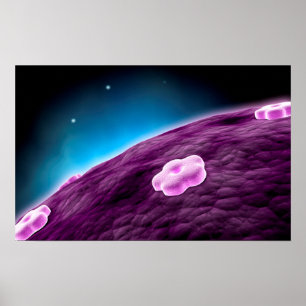 Póster Imagen Conceptual Del Núcleo Celular