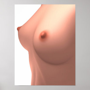 Póster Imagen conceptual del pecho femenino