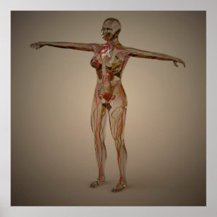 Póster Imagen conceptual del sistema nervioso humano 2