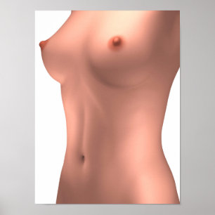 Póster Imagen conceptual del torso femenino