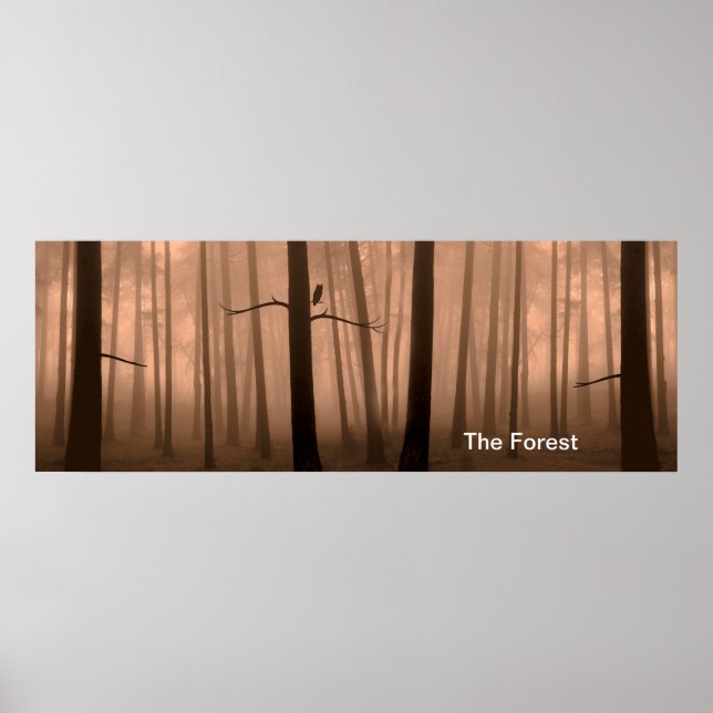 Póster Imagen de bosque para Poster (Frente)