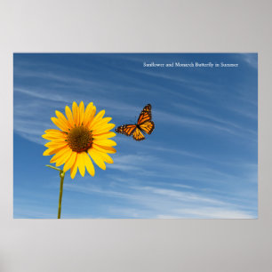 Póster Imagen de girasol para Poster