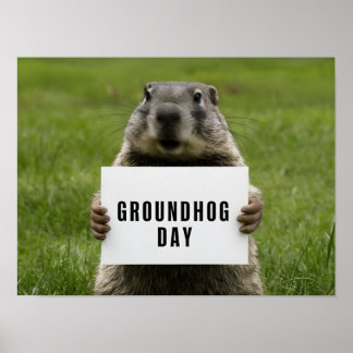 Póster Imagen de Groundhog Day