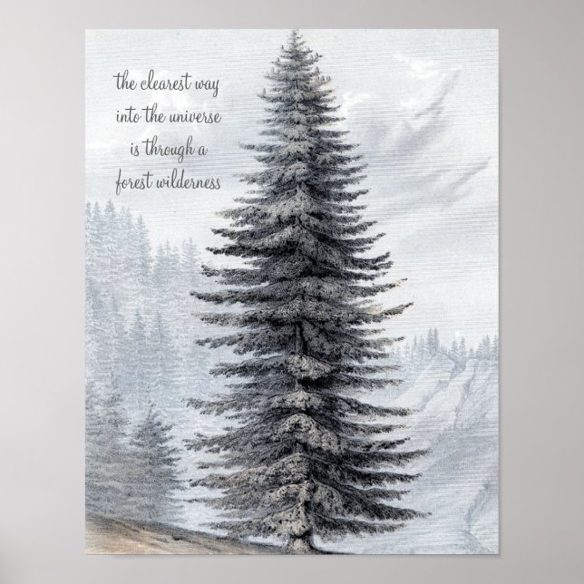 Póster Imagen de John Muir Quote Forest Wilderness Print (Frente)